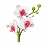 Konstruktorius gėlė „Orchidėja