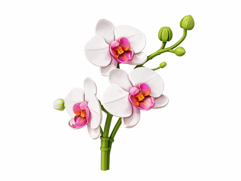 Konstruktorius gėlė „Orchidėja