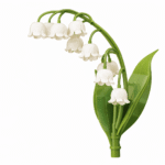 Konstruktorius gėlė „Pakalnutė“