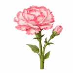 Konstruktorius gėlė „Gvazdikas“