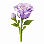 Konstruktorius gėlė „Rožė“