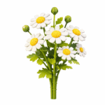 Konstruktorius gėlė „Ramunėlė“