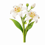 Konstruktorius gėlė „Lelija“