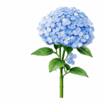 Konstruktorius gėlė „Hortenzija“