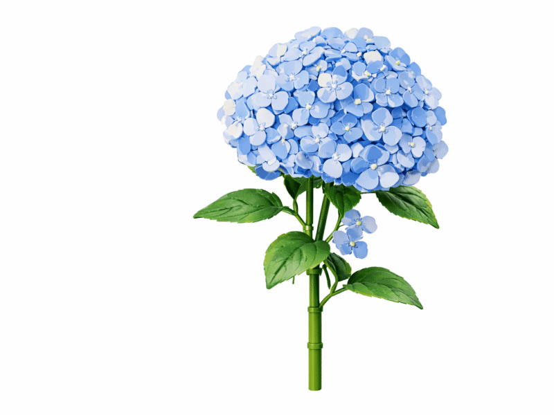 Konstruktorius gėlė „Hortenzija“