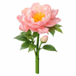 Konstruktorius gėlė „Bijūnas“